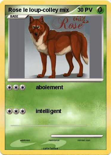 Pokemon Rose le loup-colley mix