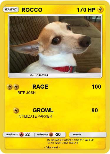 Pokemon ROCCO