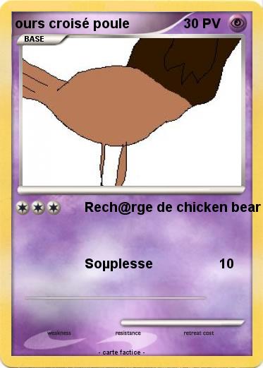 Pokemon ours croisé poule