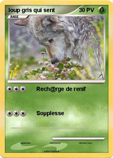 Pokemon loup gris qui sent
