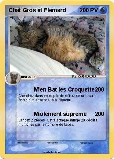 Pokemon Chat Gros et Flemard