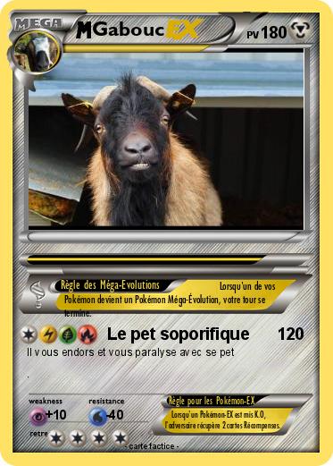 Pokemon Gabouc