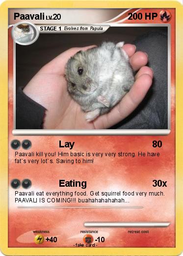 Pokemon Paavali