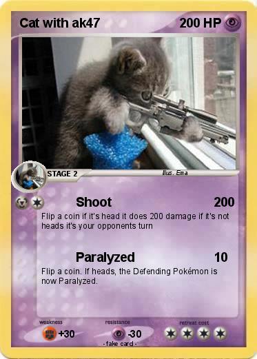 Pokemon Cat with ak47