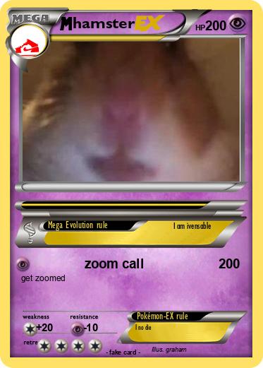 Pokemon hamster