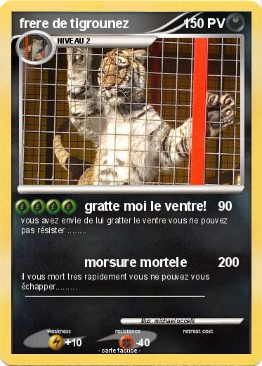 Pokemon frere de tigrounez