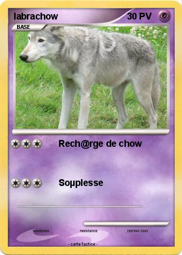 Pokemon labrachow