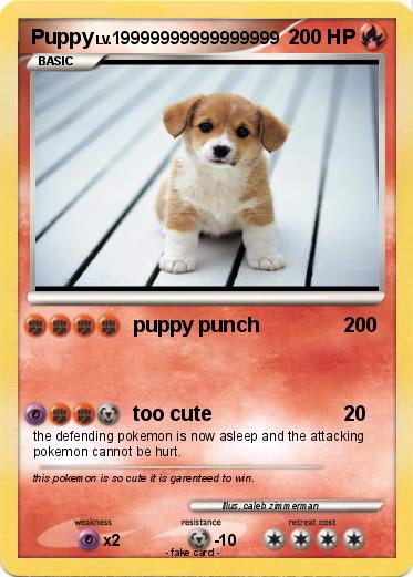 Pokemon Puppy
