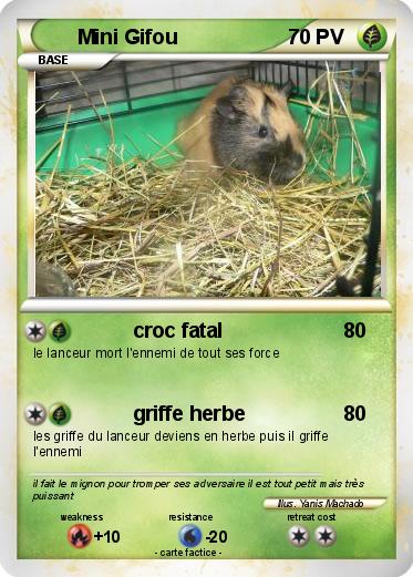 Pokemon Mini Gifou