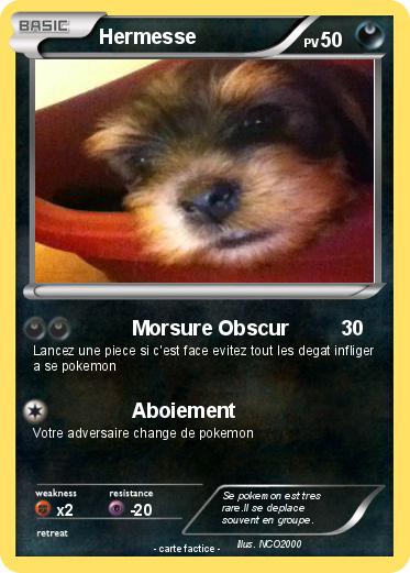 Pokemon Hermesse