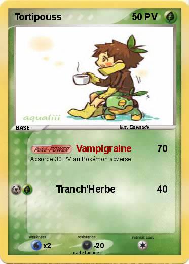 Pokemon Tortipouss