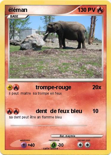 Pokemon éléman