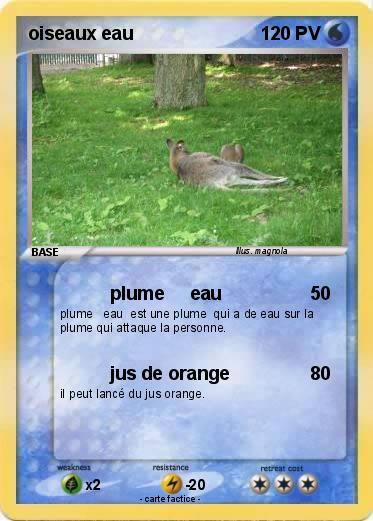 Pokemon oiseaux eau