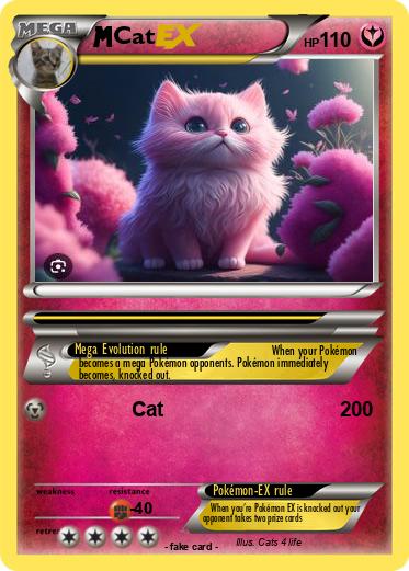 Pokemon Cat