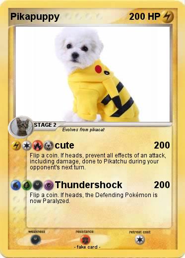 Pokemon Pikapuppy