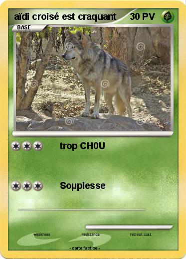 Pokemon aïdi croisé est craquant