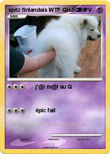 Pokemon spitz finlandais WTF GHJIOPS