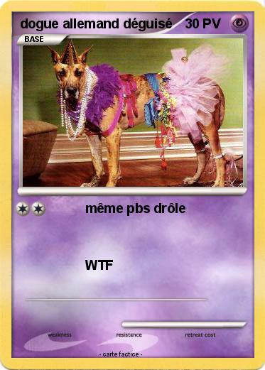 Pokemon dogue allemand déguisé