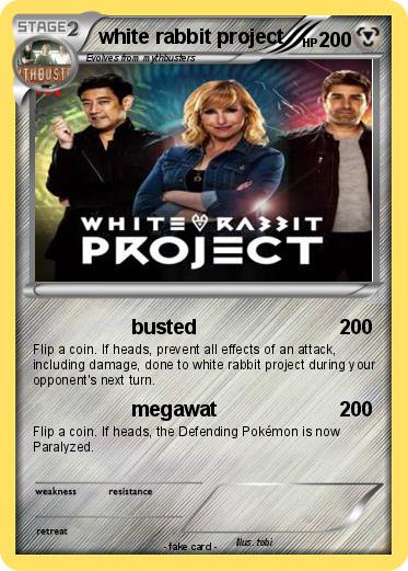 Pokemon white rabbit project