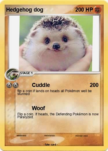 Pokemon Hedgehog dog