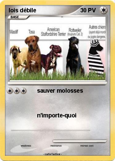 Pokemon lois débile