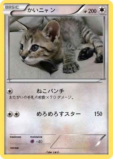 Pokemon かいニャン