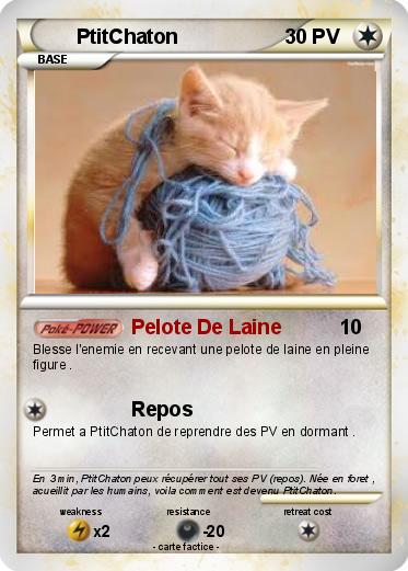 Pokemon PtitChaton