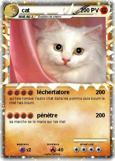 Pokemon cat
