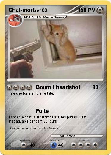 Pokemon Chat-mort