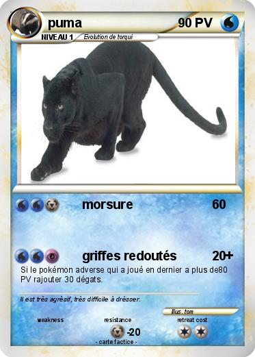 Pokemon puma