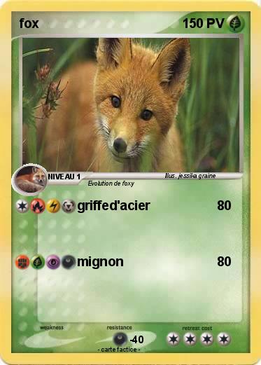 Pokemon fox