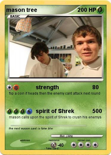 Pokemon mason tree