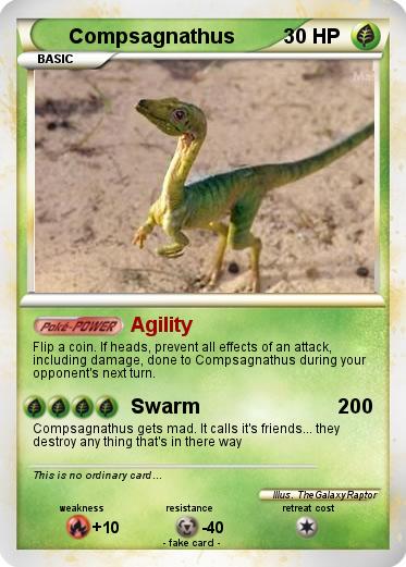 Pokemon Compsagnathus