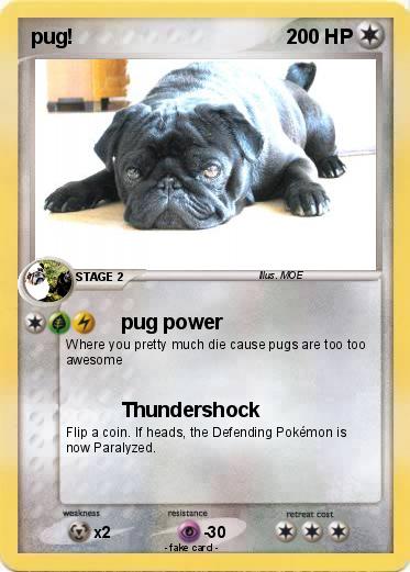 Pokemon pug!