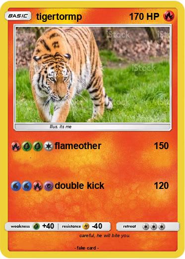 Pokemon tigertormp