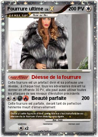Pokemon Fourrure ultime
