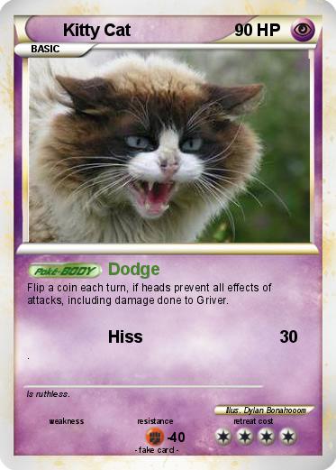 Pokemon Kitty Cat