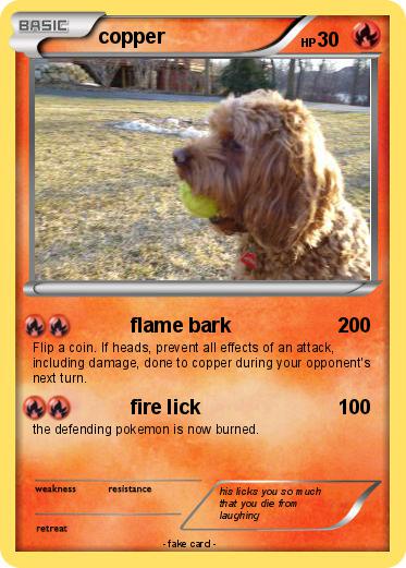 Pokemon copper