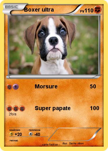 Pokemon Boxer ultra