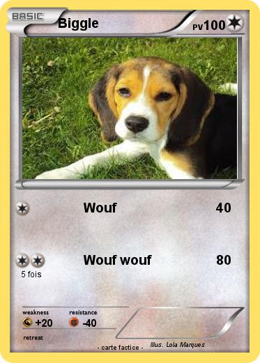 Pokemon Biggle