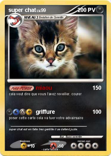 Pokemon super chat