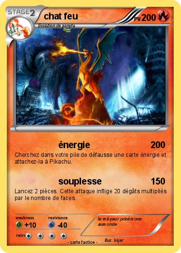 Pokemon chat feu