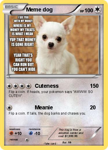 Pokemon Meme dog