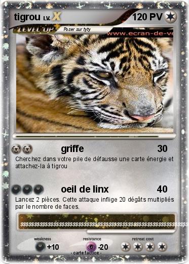 Pokemon tigrou