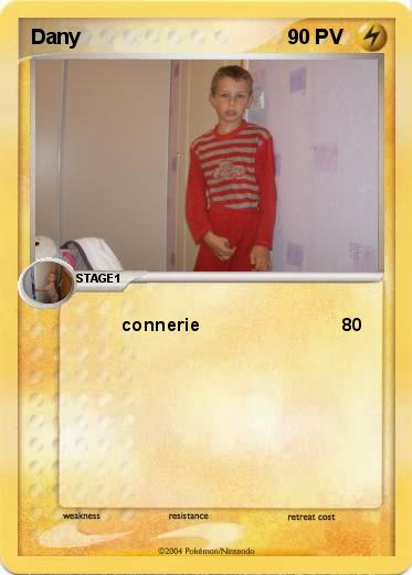 Pokemon Dany