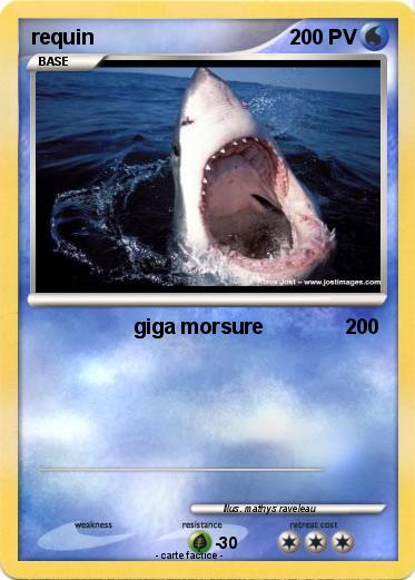 Pokemon requin