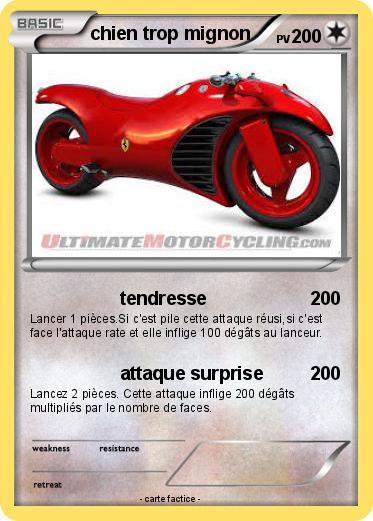 Pokemon chien trop mignon