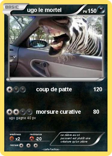 Pokemon ugo le mortel