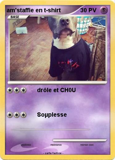 Pokemon am'staffie en t-shirt