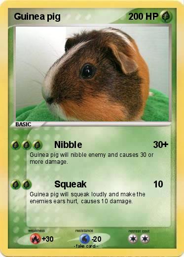 Pokemon Guinea pig